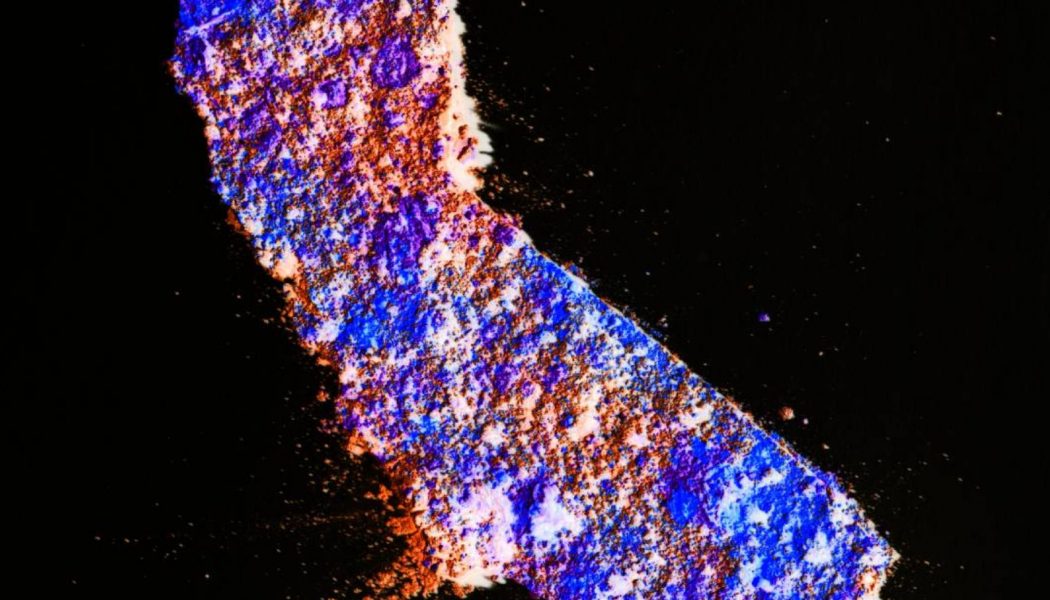 How California managed its digital COVID-19 response