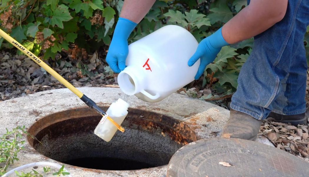 Wastewater Monitoring for COVID-19 Expanding in Davis