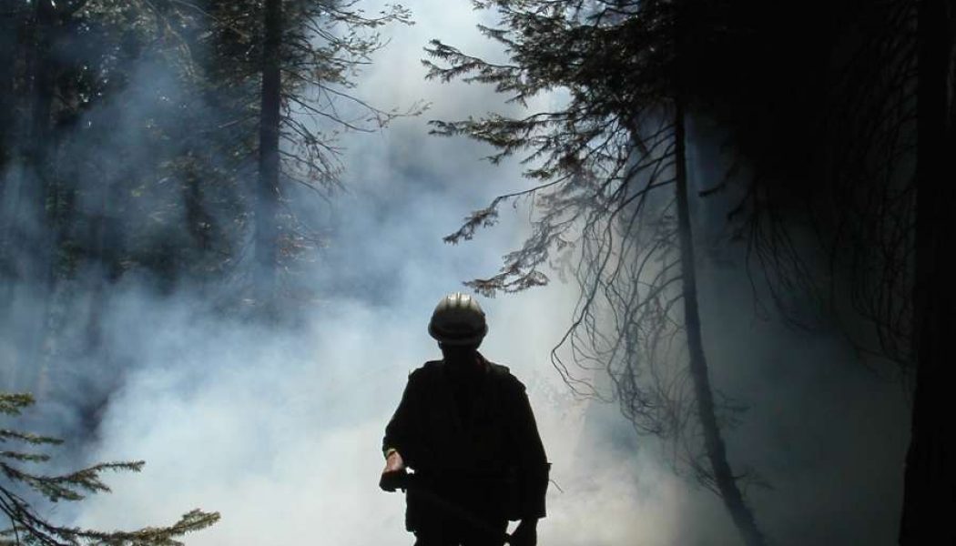 Land Tender app launched to help prevent wildfires in Tahoe, beyond