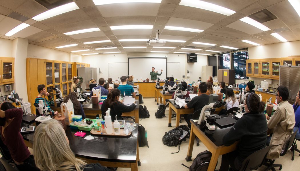 New online database showcases University’s faculty and graduate research