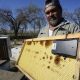 Beekeepers turn to anti-theft technology as hive thefts rise