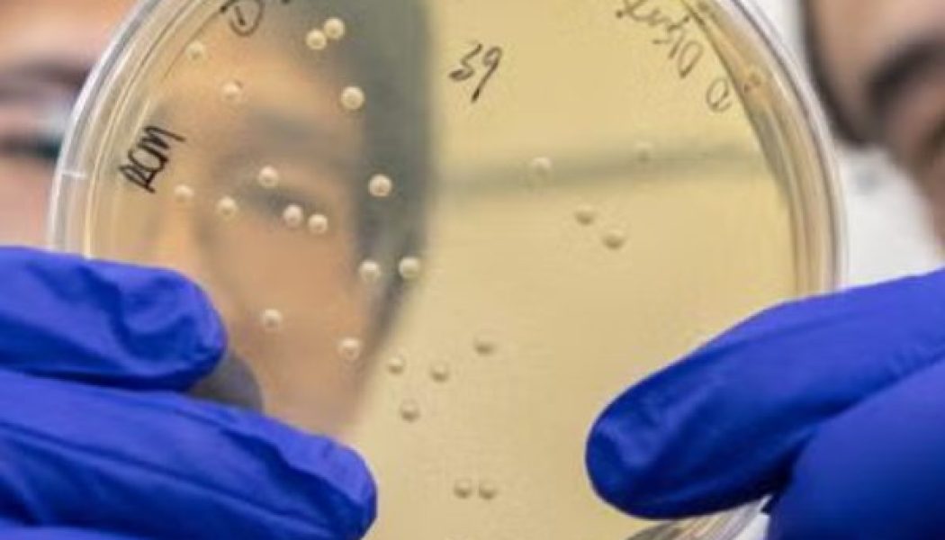 UC-Davis finding rare earths in wastewater