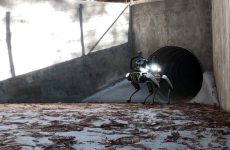 California’s strategy to improve Caltrans worker safety? ‘Spot’ the robotic dog
